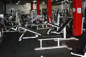 Gym Expert- photo des machines de musculation Gym Expert- photo des machines de musculation