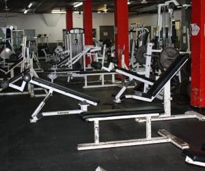 Gym Expert- photo des machines de musculation